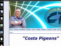 Costa Pigeons