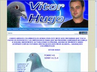 Vitor Hugo Pereira Silva