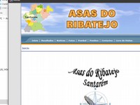 Asas do Ribatejo